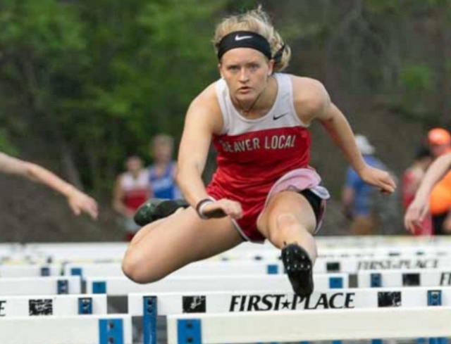 Kinsey review essay 08 picture